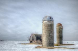 Rachel Cain - Rachel's Photos